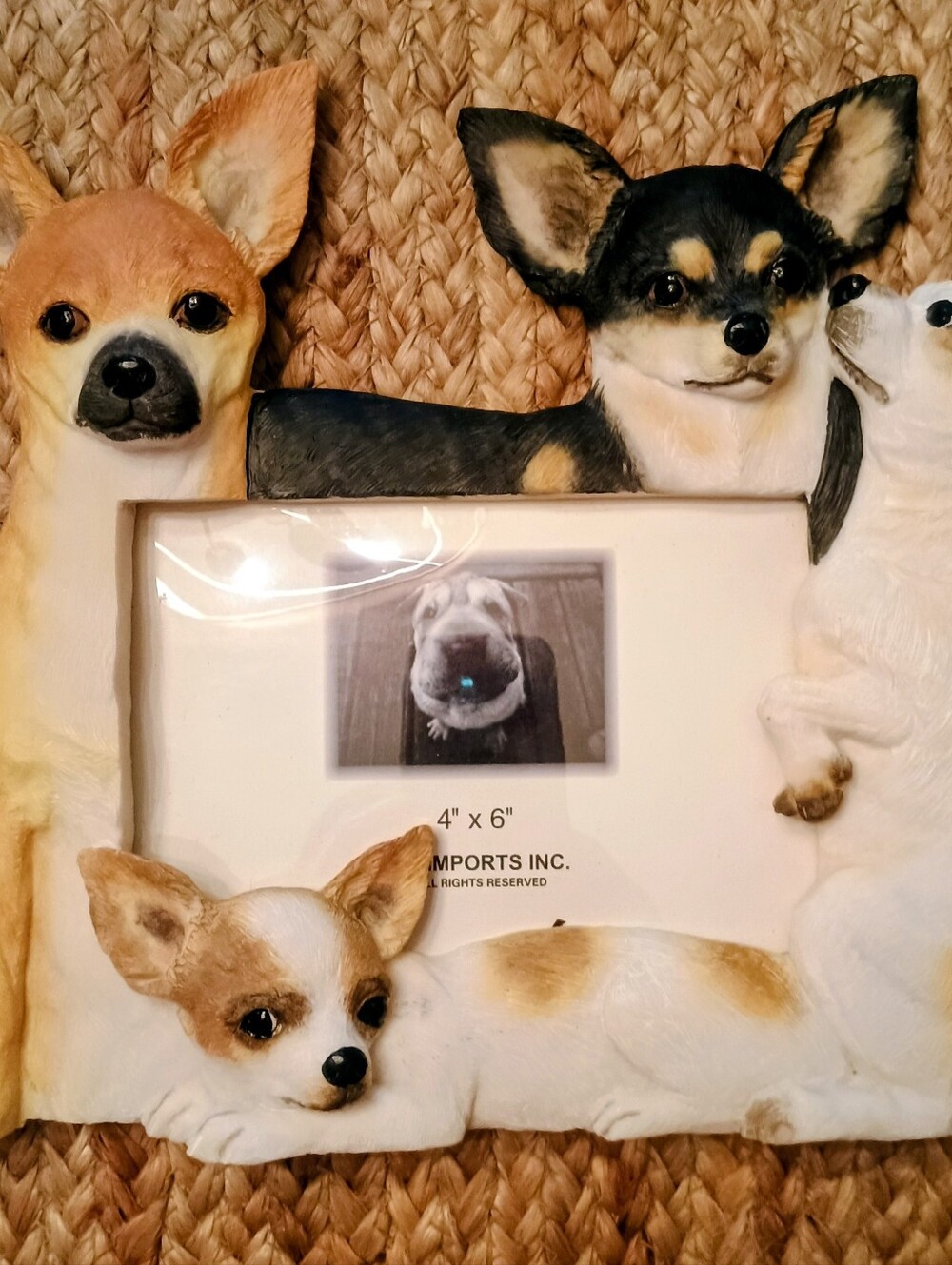 Photo Frame Chihuahua 4x6 Fit.